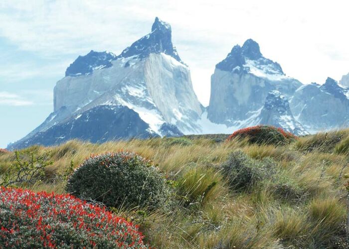Wildnis Patagoniens