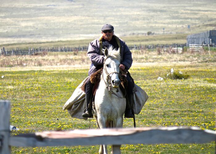 Gaucho in Chile