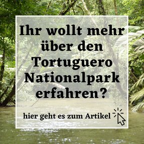 Artikel Tortuguero Nationalpark
