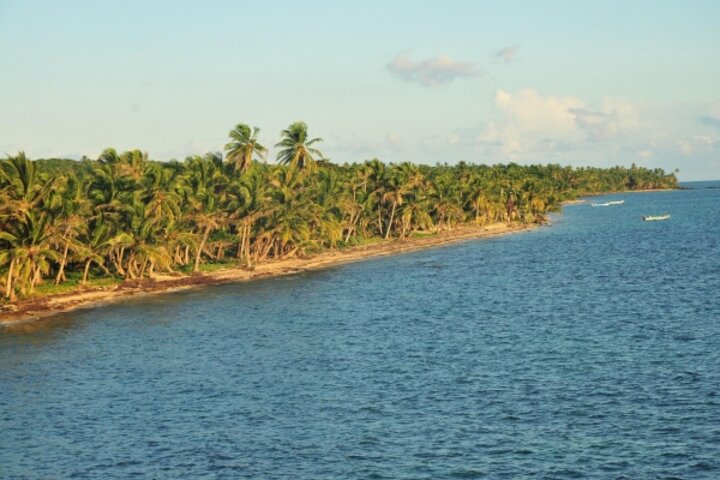Palmenstrand von Little Corn Island