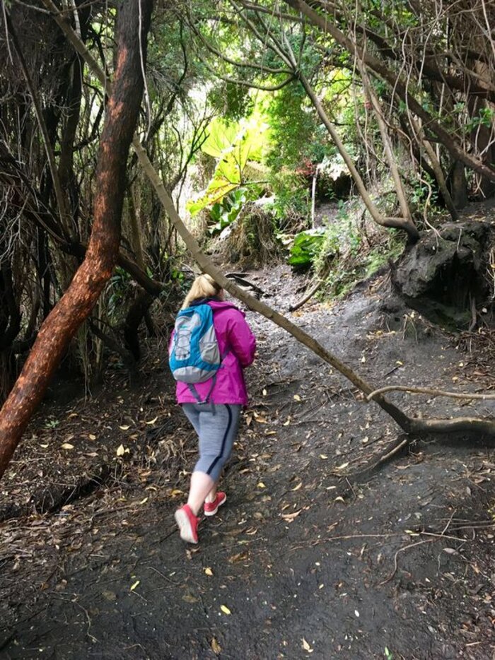 Wanderung Wanderung