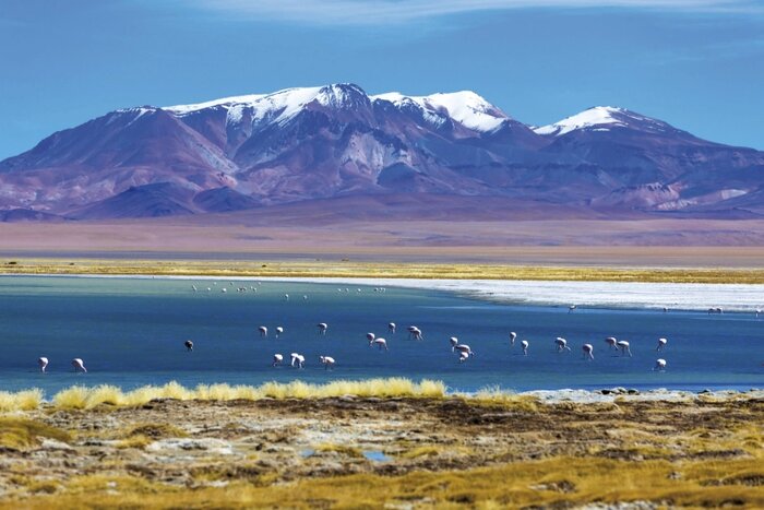 Farbenprächtige Lagunen in der Atacama-Wüste