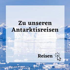 Unsere Antarktisreisen