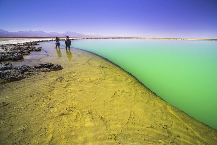 Laguna Cejar (Matthew Williams-Ellis)