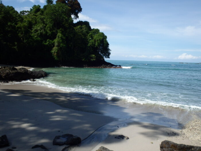 Playa Gemela im Manuel Antonio Nationalpark Playa Gemela im Manuel Antonio Nationalpark