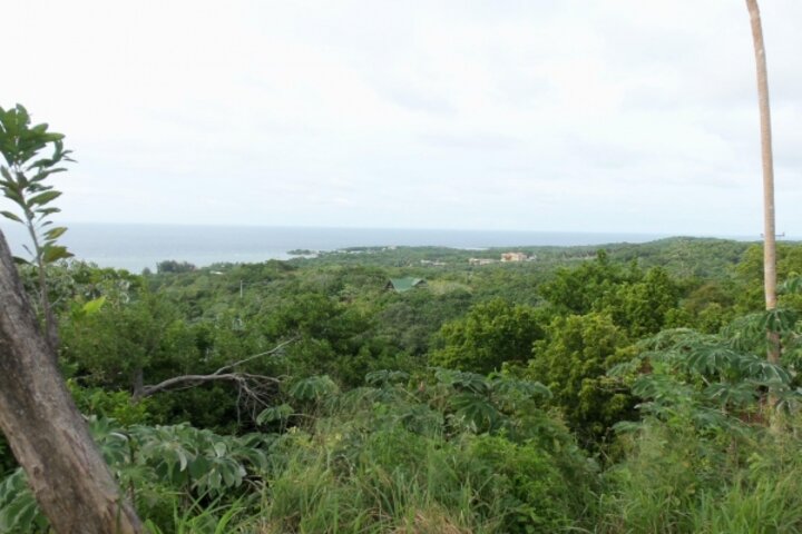 Blick über die Insel Roatán