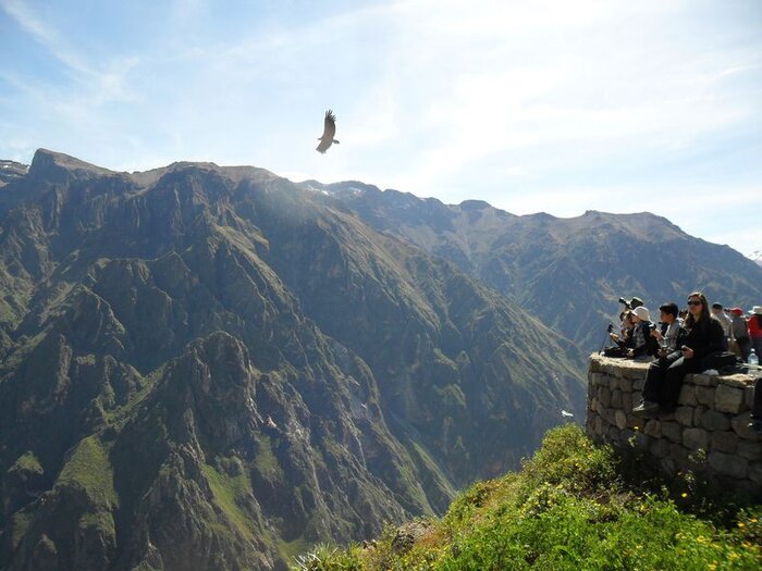 Colca Canyon