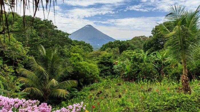 Vulkan Conceptión mit Dschungel