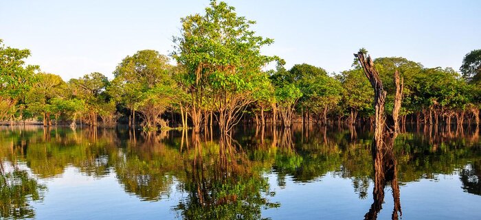 Spiegelung im Pantanal