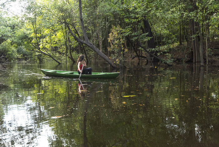 Mit dem Kanu durch den Regenwald