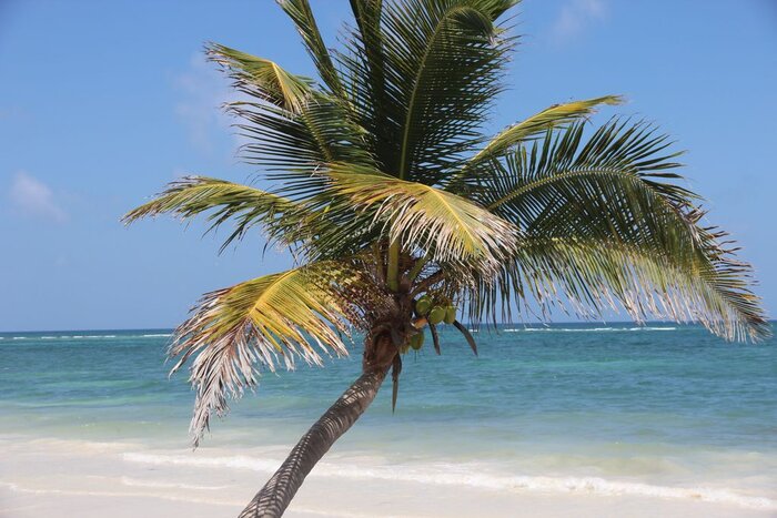 Strand von Tulum