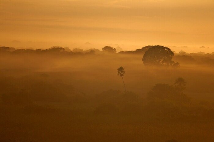 Abendstimmung im Pantanal