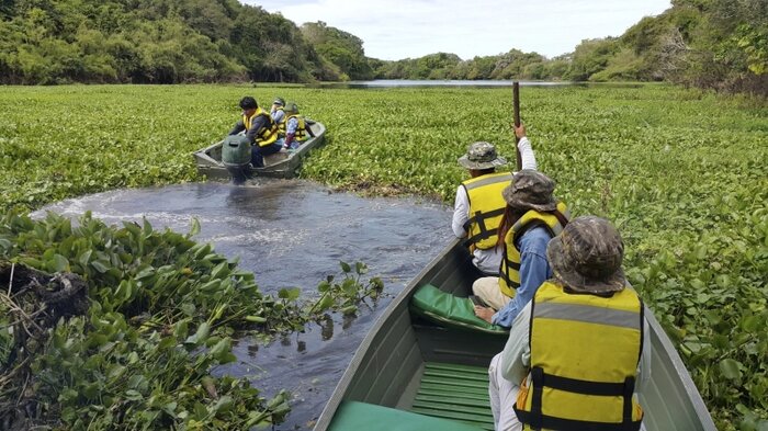 Paddeln im Amazonasgebiet