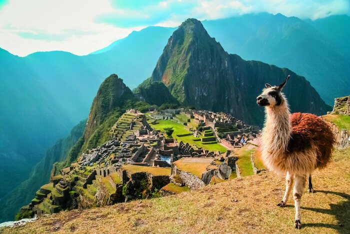 Machu Picchu mit Lama