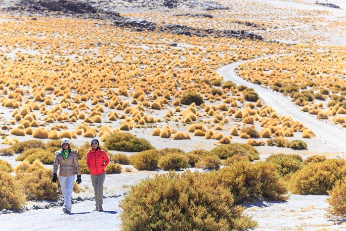 Eine Wanderung in der Hochebene der Atacama-Wüste (© Sernatur)