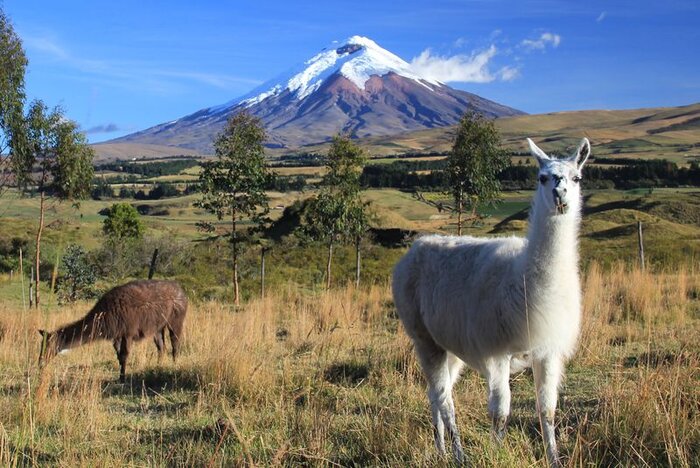 Cotopaxi Nationalpark Cotopaxi Nationalpark