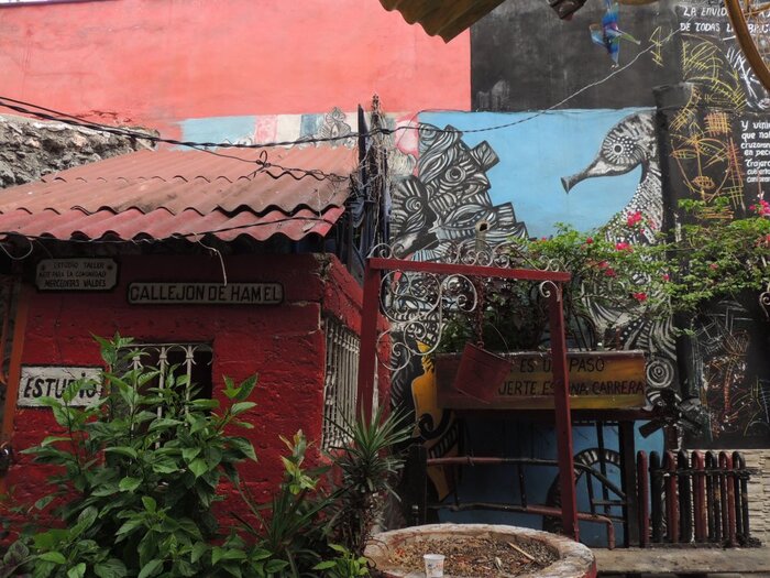 Callejon de Hamel Havanna: Anita Jochner