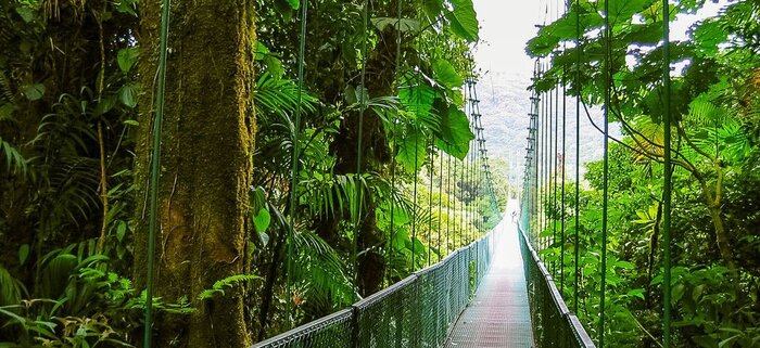 Hängebrücke in Monteverde