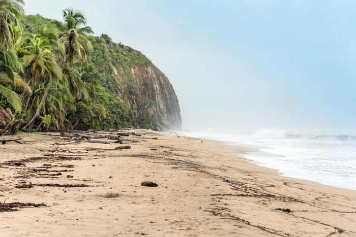 Strand im Tayrona-Nationalpark Strand im Tayrona-Nationalpark - Ellen Goldberg