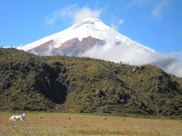 Cotopaxi, ein aktiver Vulkan in Ecuador