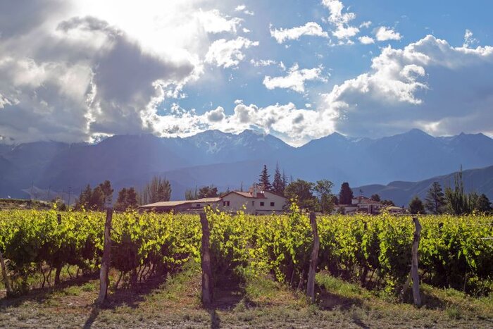 Ein Weingut bei Mendoza (© visitargentina)