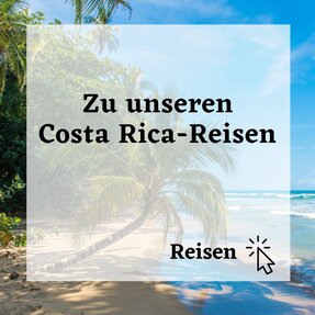 Unsere Costa-Rica-Reisen