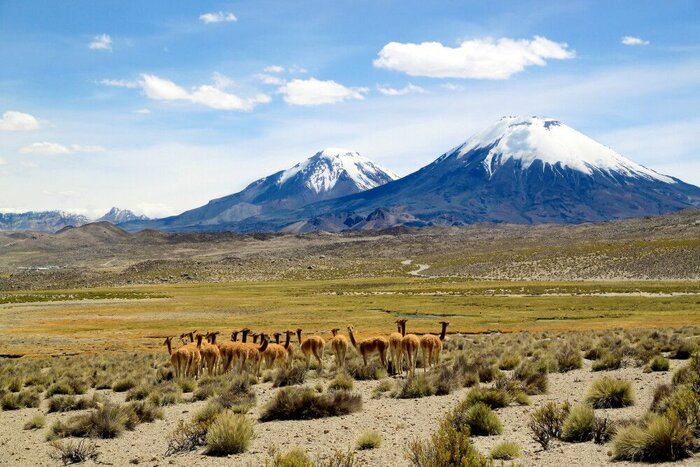 Lauca Nationalpark