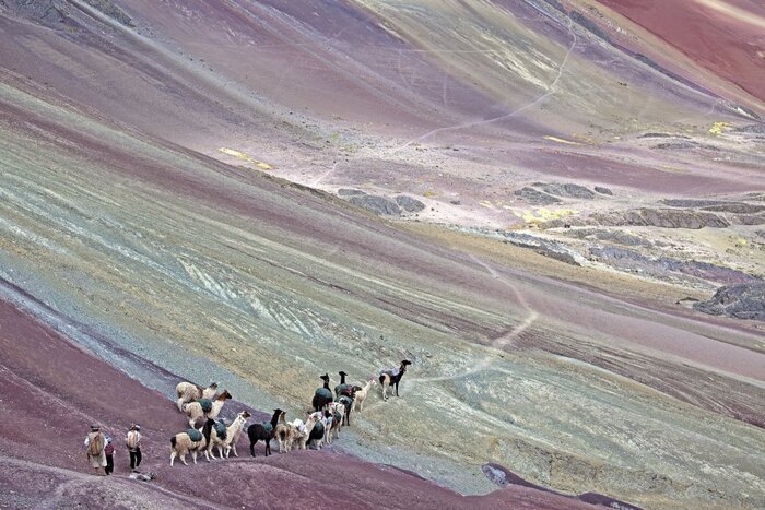 Mit den Lamas durch farbenprächtige Berglandschaften